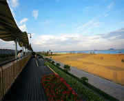 金山天气预报10天