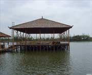 青浦天气预报15天