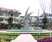 崇明天气预报10天