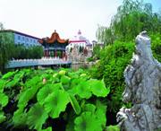 津南天气预报15天