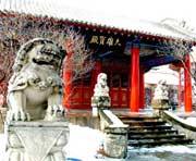 依兰天气预报10天