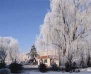 尚志天气预报10天