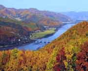 林口天气预报10天