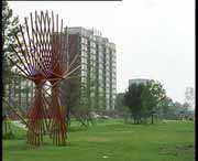 铁力天气预报40天