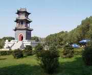 榆树天气预报10天