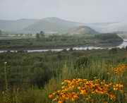 敦化天气预报一周