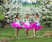 龙井天气预报15天