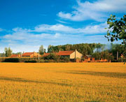 康平天气预报一周