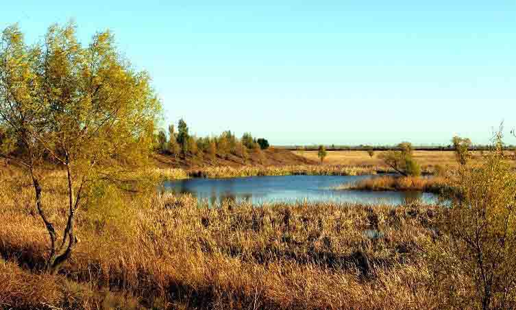 台安天气预报一周