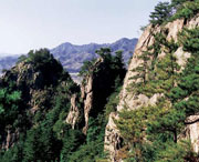 开原天气预报10天