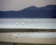 北票天气预报10天