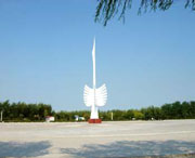 大洼天气预报10天