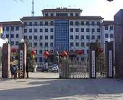 无极天气预报10天