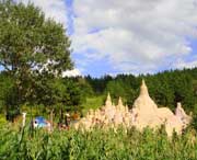 石楼天气预报一周