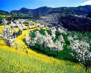 淳化天气预报10天