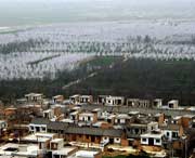 泾阳天气预报10天