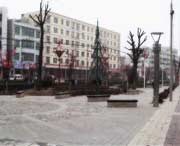 长武天气预报10天