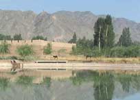 横山天气预报一周