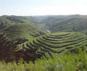 米脂天气预报一周