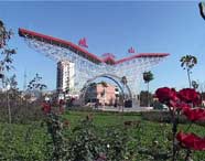 岐山天气预报10天