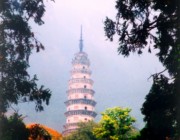 长清天气预报一周