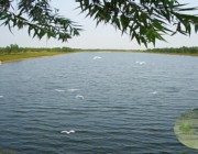 商河天气预报一周