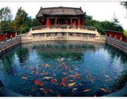 章丘天气预报一周