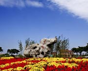 桓台天气预报10天