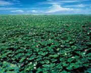 微山天气预报10天