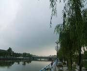 鱼台天气预报10天