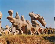 费县天气预报10天