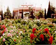 荷泽天气预报10天