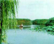 滨州天气预报10天