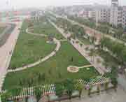 无棣天气预报10天