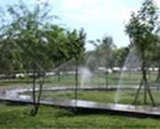 若羌天气预报10天