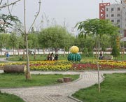 和田天气预报10天