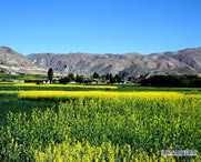 尼木天气预报10天