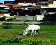 山南天气预报10天
