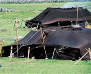 左贡天气预报一周