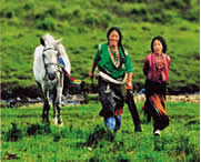 安多天气预报一周