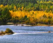 贵德天气预报10天