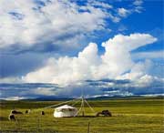 清水河天气预报一周