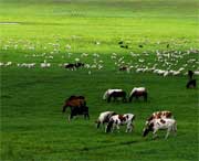 海北州天气预报10天