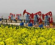 西峰天气预报10天