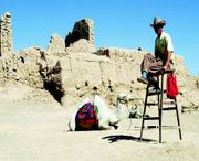 高台天气预报一周