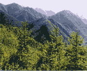 西和天气预报10天