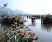 永靖天气预报10天