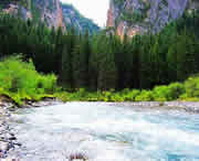 卓尼天气预报10天