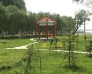 原阳天气预报10天