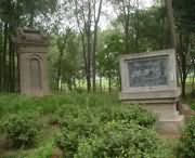 封丘天气预报10天